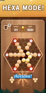 Wooden 100 Block Puzzle Game app screenshot 14