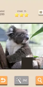 Slide Puzzle King app screenshot 24