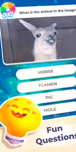 Quiz  app screenshot 13