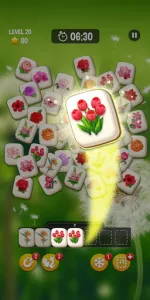 Flower Match app screenshot 2