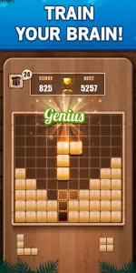 Wooden 100 Block Puzzle Game app screenshot 15
