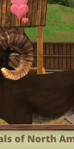 Pet World app screenshot 29