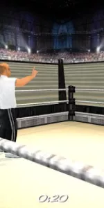 Wrestling Revolution 3D app screenshot 14