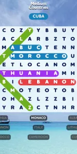 Word Search  app screenshot 21