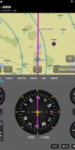 Garmin Pilot app screenshot 12