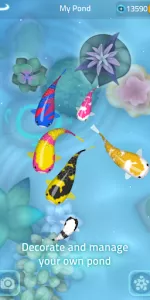Zen Koi 2 app screenshot 5