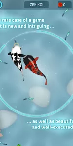 Zen Koi Classic app screenshot 13
