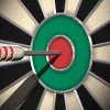 Pro Darts 2025 app icon