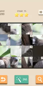 Slide Puzzle King app screenshot 7