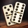 Domino Legends app icon