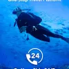 How Trip.com Adapts to the Evolving Travel Market