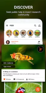 Insect identifier by Photo Cam app screenshot 22