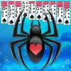 Spider Solitaire app icon