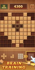 Wood Block 99  app screenshot 18