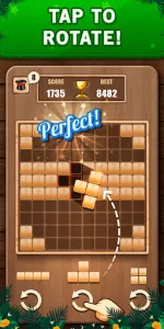 Wooden 100 Block Puzzle Game app screenshot 2