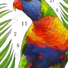 Step-by-Step Tutorial: Master Happy Color® for Better Games