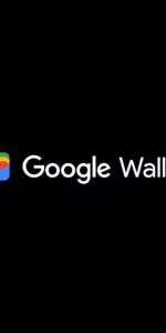 Google Wallet app screenshot 9