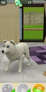 Pet World app screenshot 32