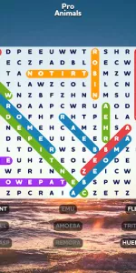 Word Search  app screenshot 22