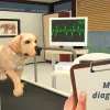 Pet World vs Competitors: The Best Games App in 2025