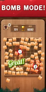 Wooden 100 Block Puzzle Game app screenshot 13