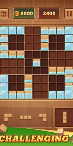 Wood Block 99  app screenshot 4