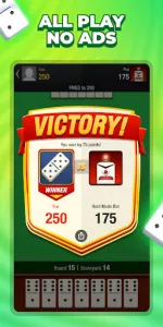 Domino! Solo app screenshot 1