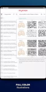Principles of Neural Science app screenshot 19