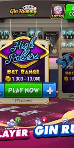 Gin Rummy Plus app screenshot 14