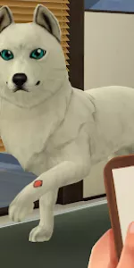 Pet World app screenshot 20