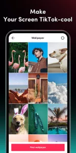 TickTock app screenshot 5