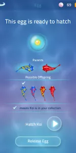 Zen Koi 2 app screenshot 8