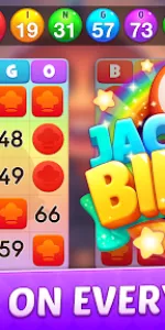 Bingo Frenzy app screenshot 11