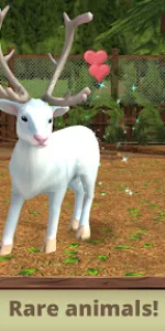 Pet World app screenshot 2