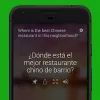 Learn How to Use Microsoft Translator | A Guide for Business Enthusiasts