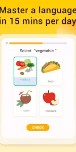 LingoDeer  app screenshot 19