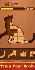 Block Puzzle app screenshot 1