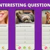 Step-by-Step Tutorial: Master QuizzLand. Quiz & Trivia game for Better Games